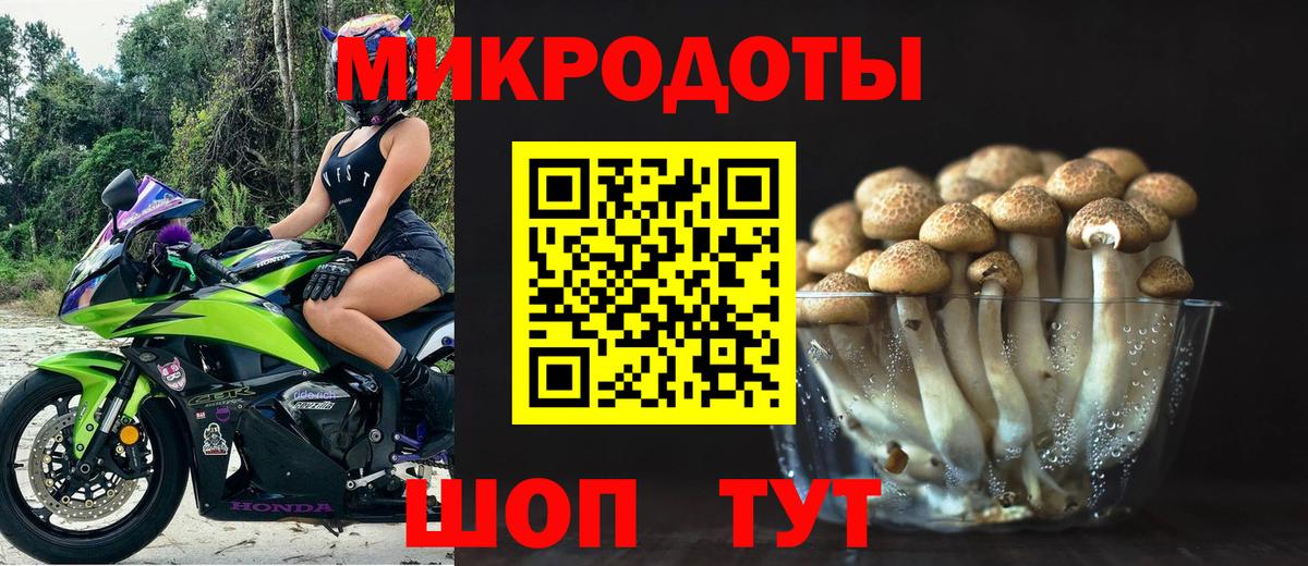 Галлюциногенные грибы Magic Shrooms  Вход с VPN  Заволжье 