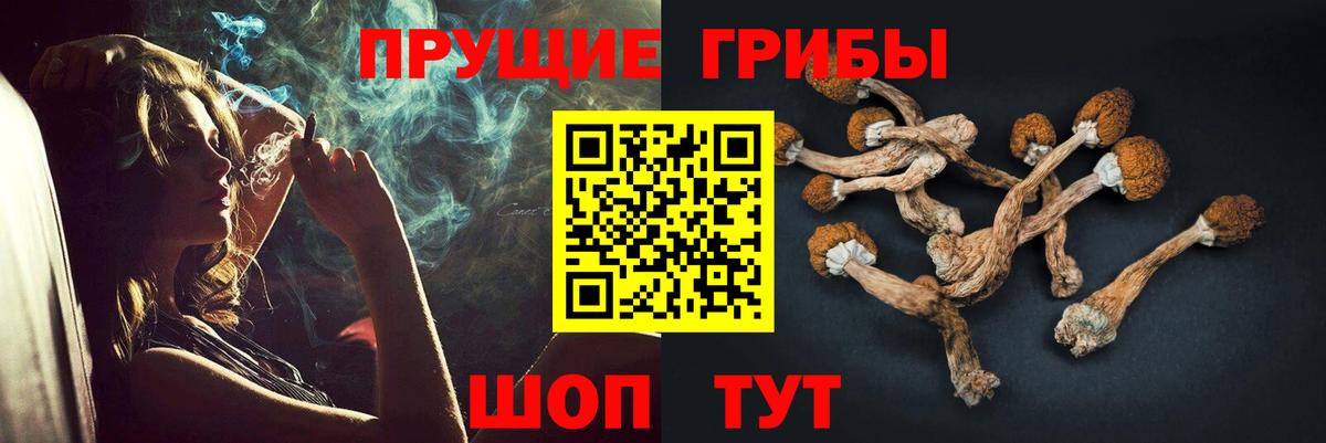 Псилоцибиновые грибы MAGIC MUSHROOMS Заволжье
